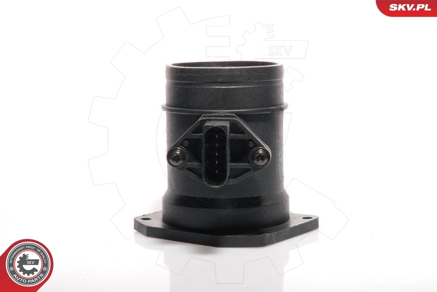 Mass Air Flow Sensor